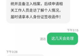 嵊州为什么选择专业追讨公司来处理您的债务纠纷？